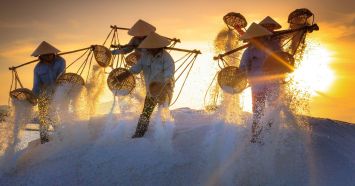 FREE & Online (LIVE only) 3-Day Bootcamp on Become a US Enrolled Agent from India: Access a windfall opportunity to perform US tax assignments as more than 100k taxation jobs go remote